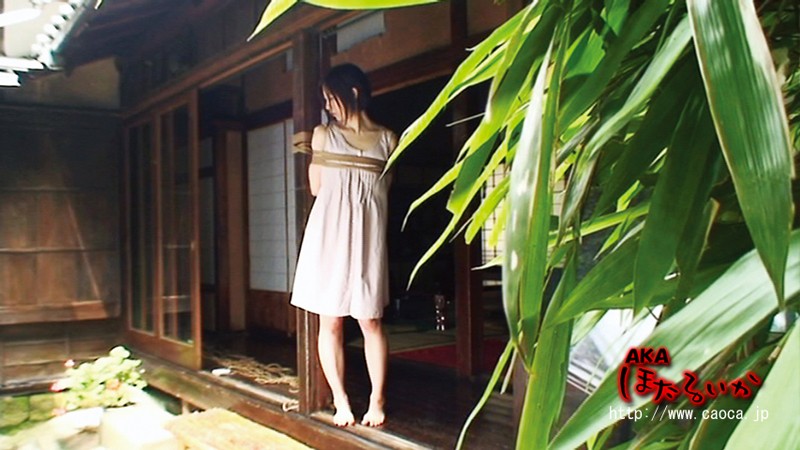 Gallery 0