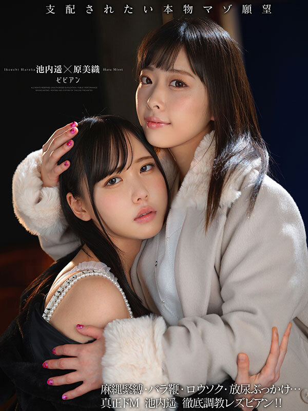 Gallery 0