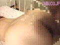 Gallery 20
