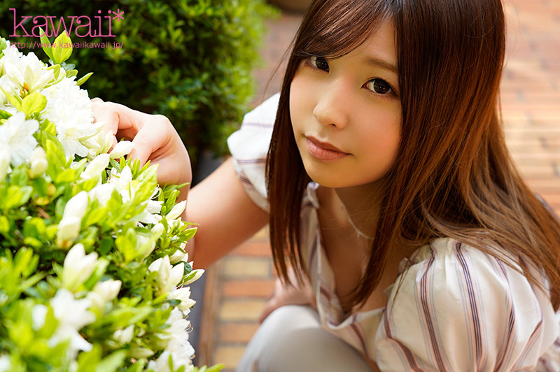 Gallery 0