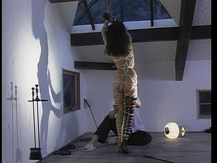 Gallery 11