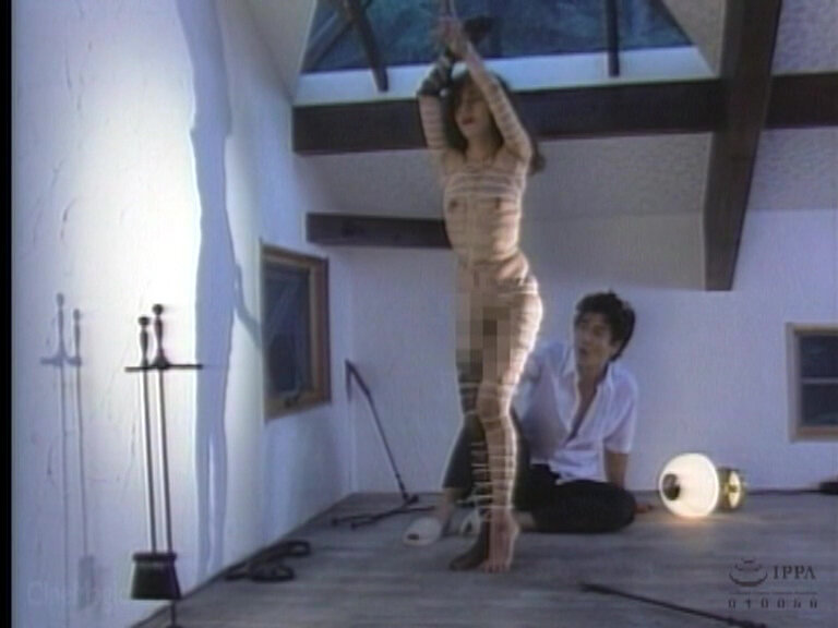 Gallery 11