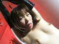 Gallery 4