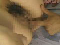 Gallery 27