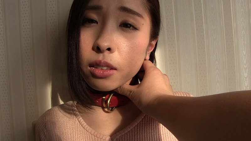 Gallery 0
