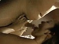 Gallery 26