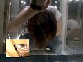 Gallery 20