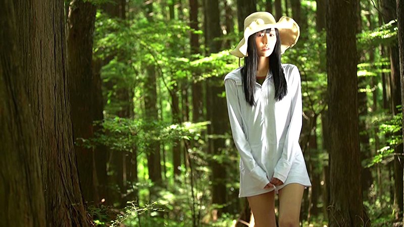 Gallery 0