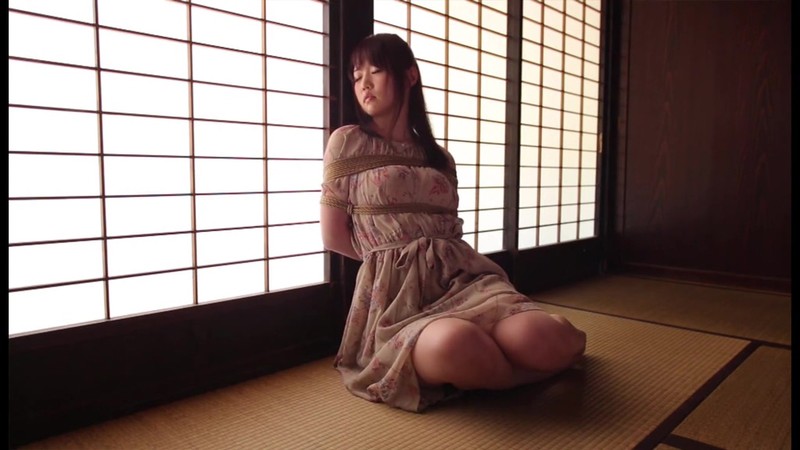 Gallery 0