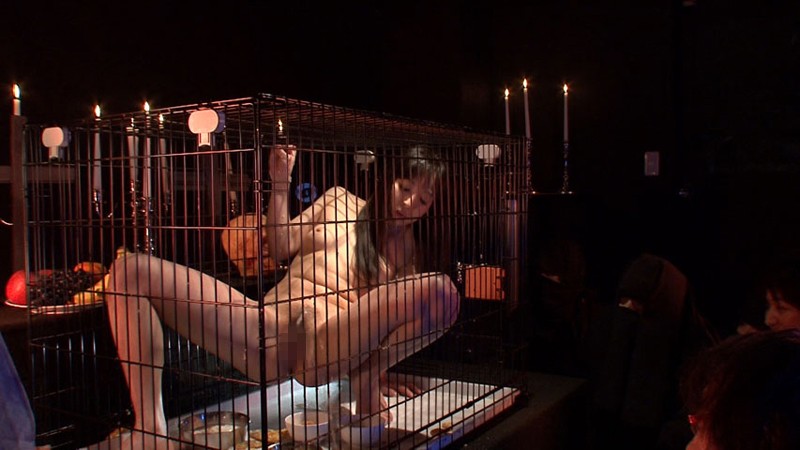 Gallery 5