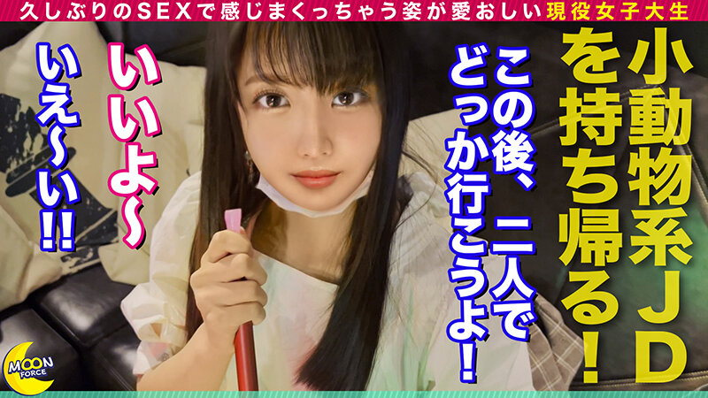 Gallery 0