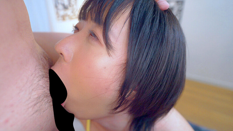 Gallery 12