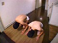 Gallery 3