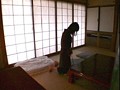 Gallery 7