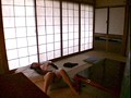 Gallery 8