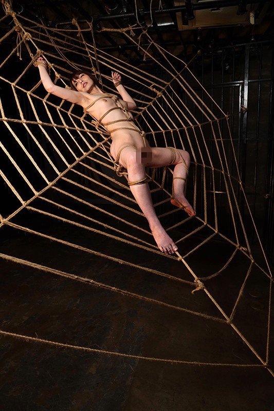 Gallery 11