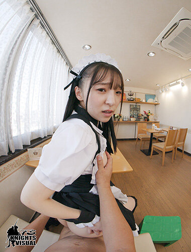 Gallery 6