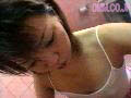 Gallery 26