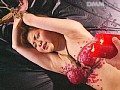 Gallery 20