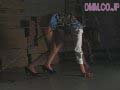 Gallery 12