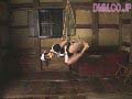 Gallery 20