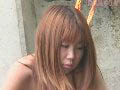 Gallery 26