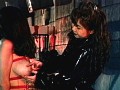 Gallery 20