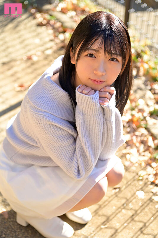 Gallery 0