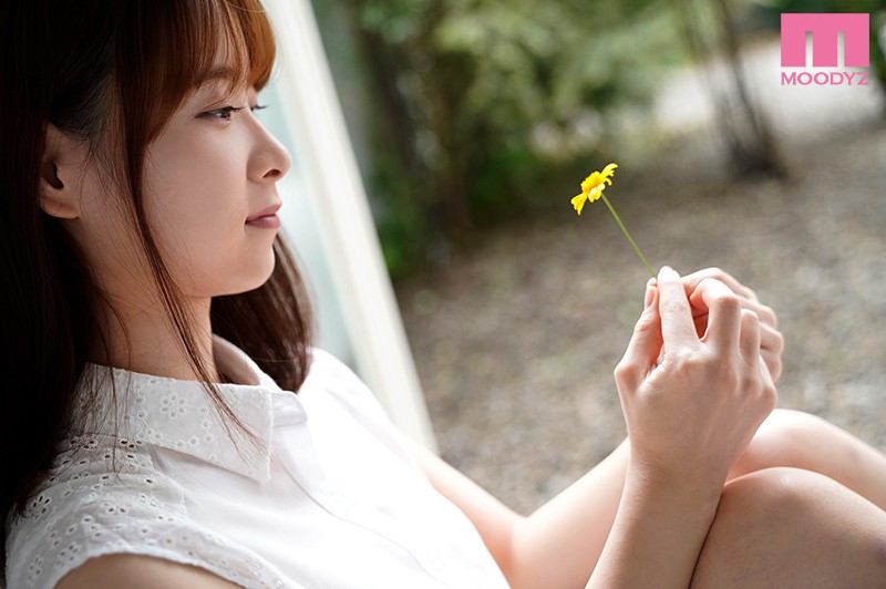Gallery 0