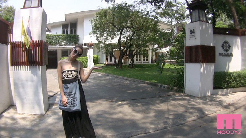 Gallery 3