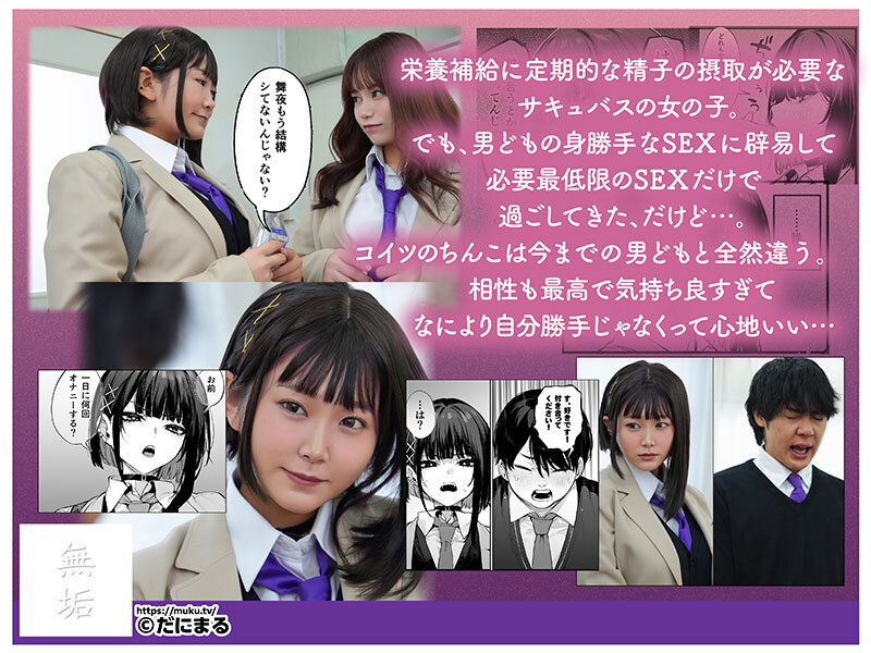 Gallery 0