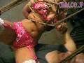Gallery 32