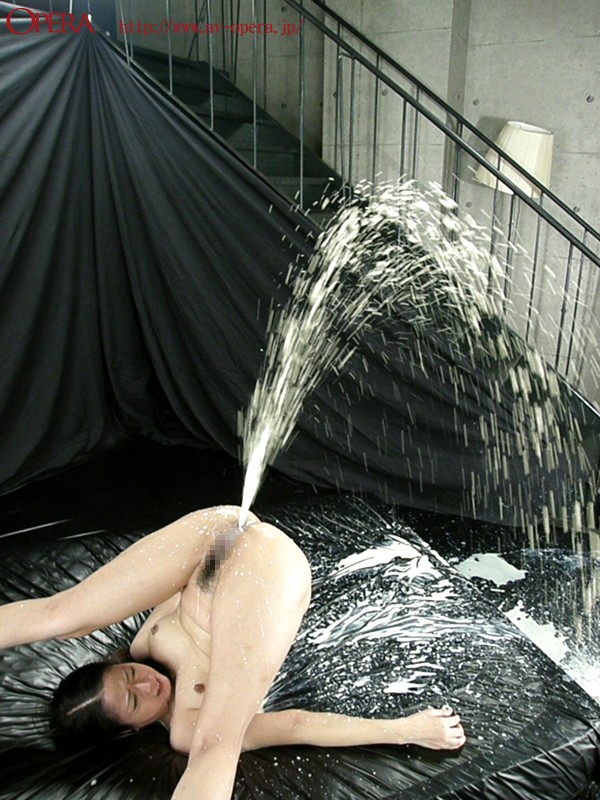 Gallery 7