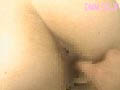 Gallery 27
