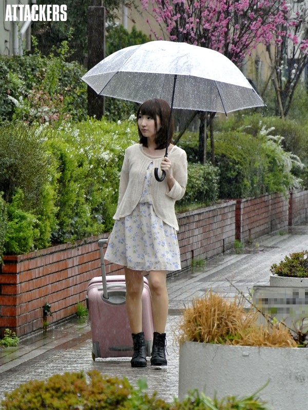 Gallery 0