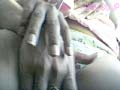 Gallery 31
