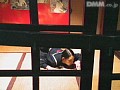 Gallery 0