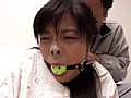 Gallery 29