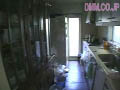 Gallery 7